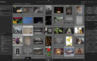 Gratis är gott: Håll reda på dina bilder och negativ med Darktable