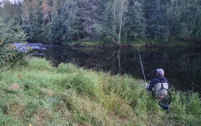 Äntligen – premiär – flugfiske!