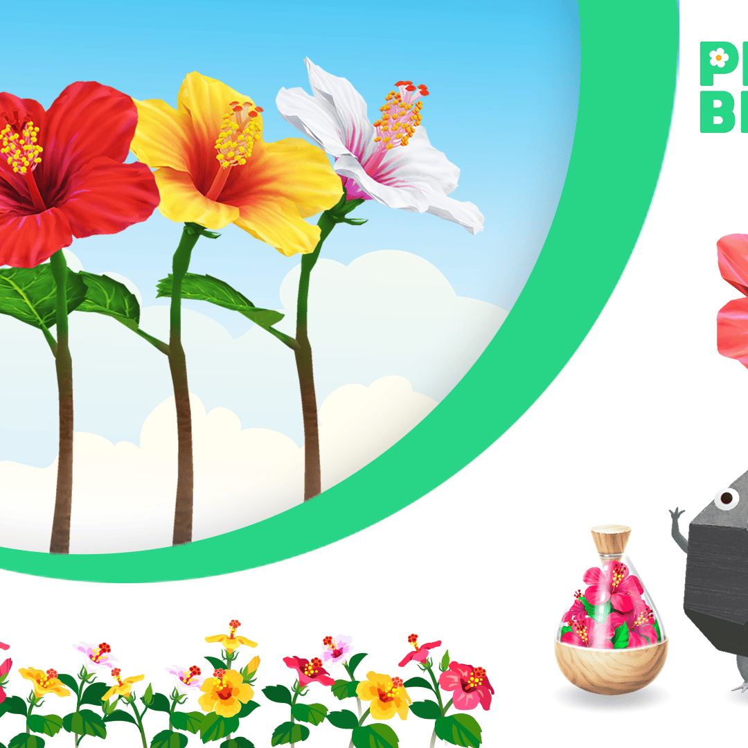 Pikmin Bloom: Det här händer i spelet i augusti