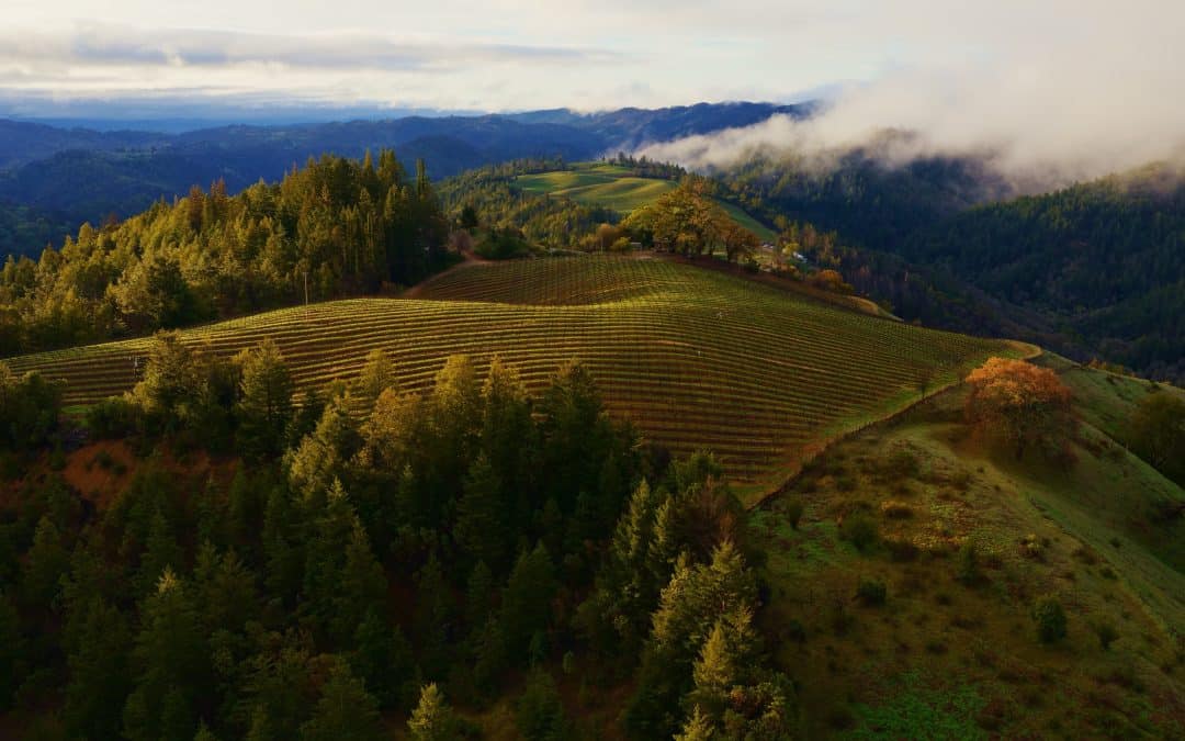 Här kan du ladda ned de officiella bakgrunderna för macOS Sonoma