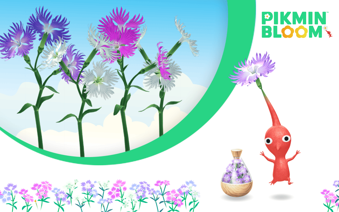 Pikmin Bloom: Här kommer septembers stora blom-prognos