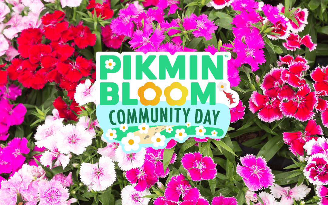 Pikmin Bloom: Community Day i dagarna två