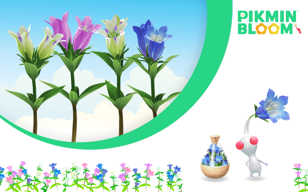 Pikmin Bloom: Här är det du behöver om vad som händer i spelet under oktober