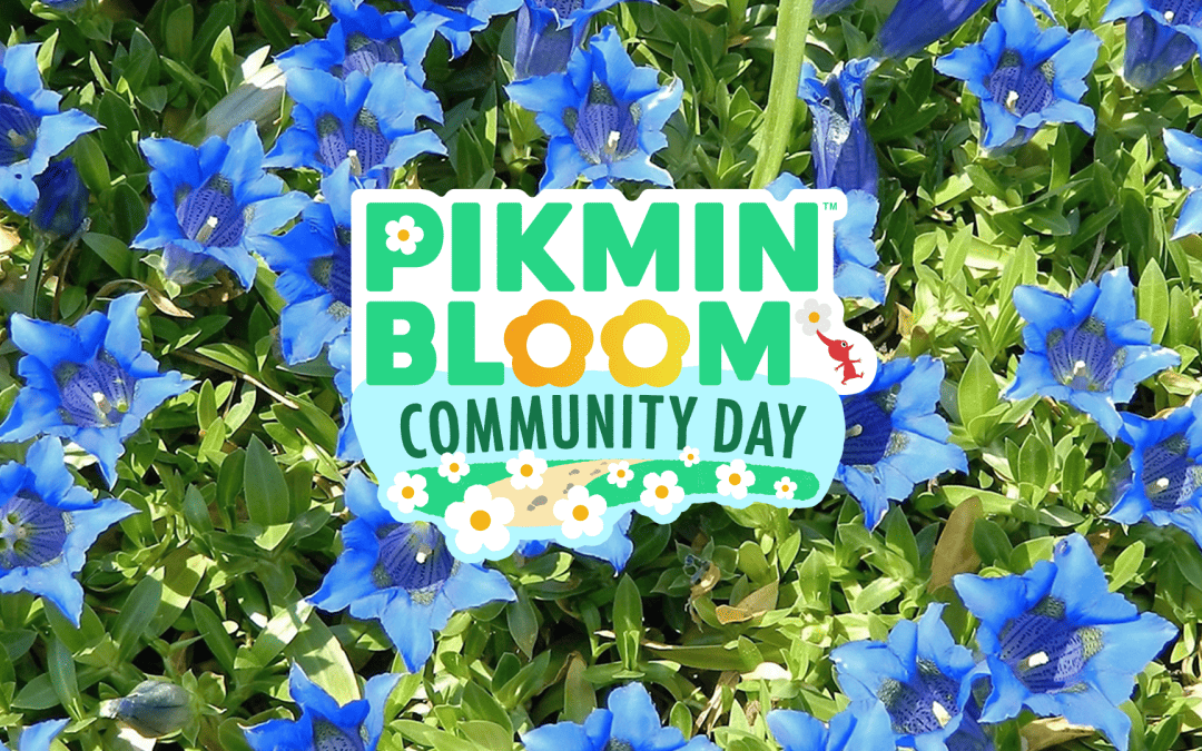 Pikmin Bloom: Dags för Community Day i hela två dagar