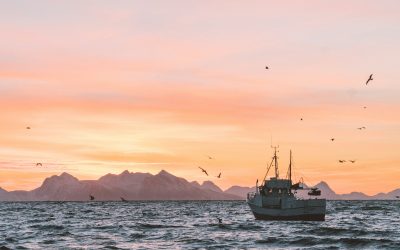 white sailboat in body of water during sunset