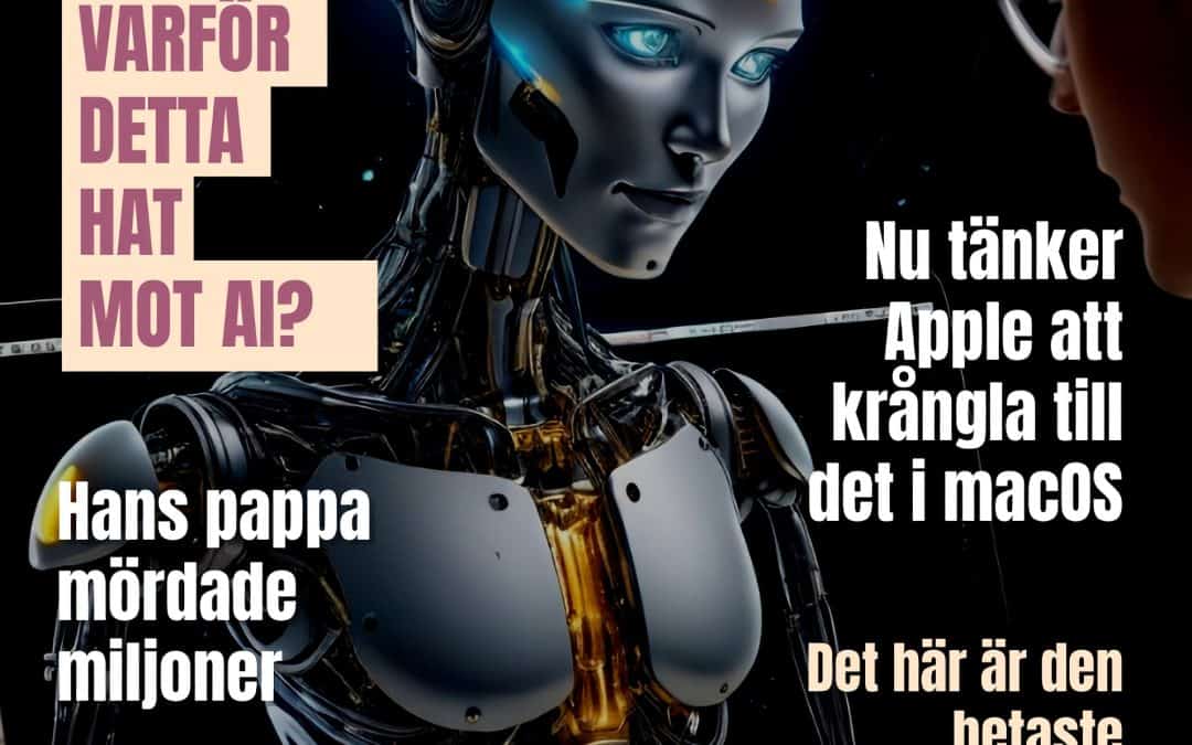 Det här bjuder Magasin Macken på idag lördag 10 augusti 2024