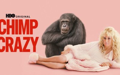 Macken har sett: Chimp Crazy – spekulativt utnyttjande av uppmärksamhetstörstande