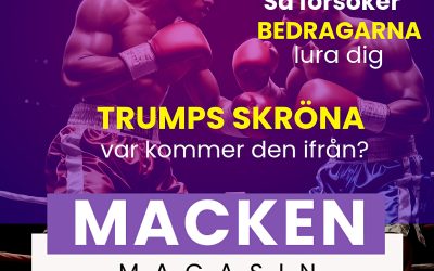 Det här bjuder Magasin Macken på idag lördag 14 september 2024