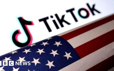 TikTok to begin appeal against being sold or banned in US