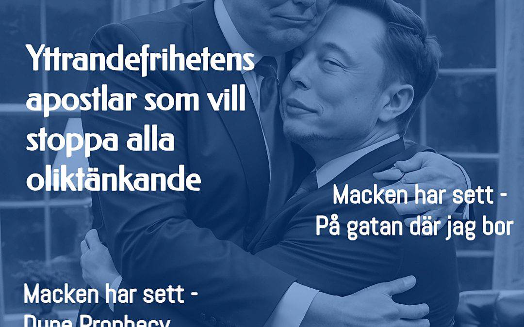 Det här bjuder Magasin Macken på idag lördag 23 november i nådens år 2024