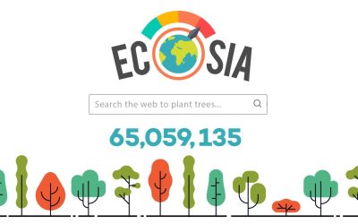 Ecosia och Qwant ska försöka att utmana jätten Google för sökningar