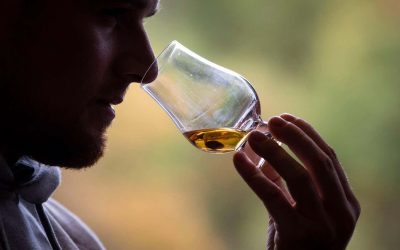 AI beats human experts at distinguishing American whiskey from Scotch