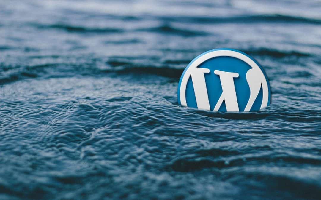 Har Matt Matt Mullenweg, WordPress, tappat det fullständigt?