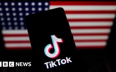 TikTok says it will ’go dark’ in ban if US government does not intervene