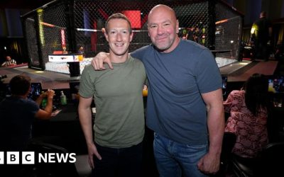 UFC boss Dana White and two others to join Meta board