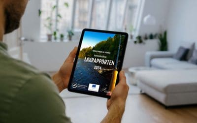 Årets laxrapport är en larmsignal